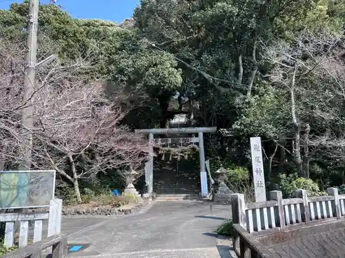 龍尾神社(静岡県)
