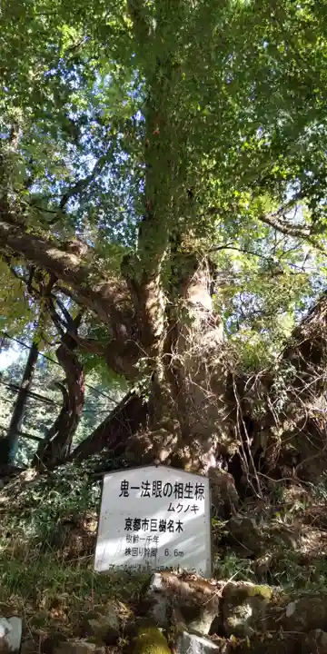 石寄社(京都府)