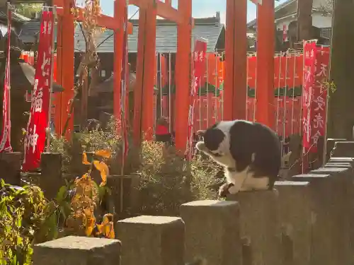 伏見稲荷大社の{uncategorized: "未分類", other: "その他", undefined: "問題あり", building: "その他建物", grave: "お墓", sacred_gate: "鳥居", guardian: "狛犬", statue: "像", buddha: "仏像", history: "歴史", nature: "自然", garden: "庭園", animal: "動物", pagoda: "塔", temizu: "手水舎", mountain_gate: "山門・神門", sanctuary: "本殿・本堂", subordinate: "末社・摂社", art: "芸術", scenery: "景色", jizo: "地蔵", ema: "絵馬", goshuin: "御朱印", omikuji: "おみくじ", items: "授与品その他", amulet: "お守り", goshuincho: "御朱印帳", eats: "食事", festival: "お祭り", votive_dance: "神楽", shichigosan: "七五三参", wedding: "結婚式", experience: "体験その他", initially: "初詣", around: "周辺", anti_infection: "感染症対策"}
