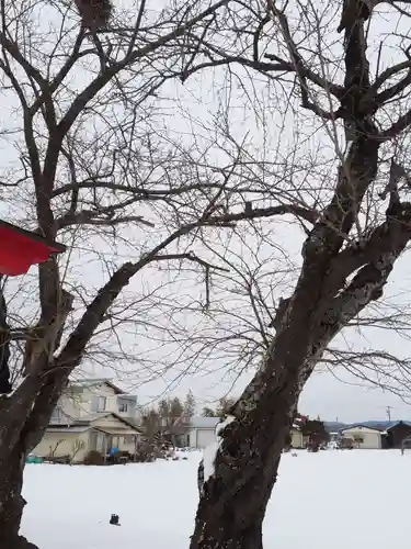 新山神社の自然