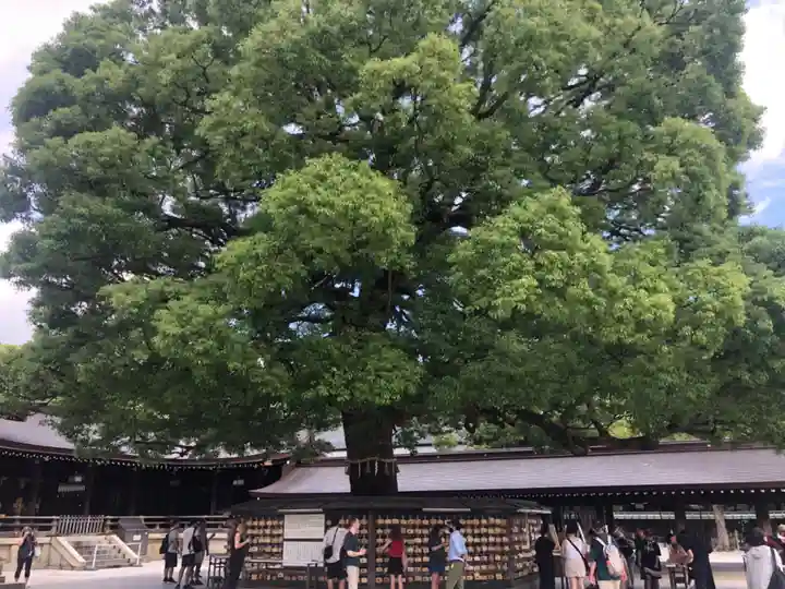 明治神宮(東京都)