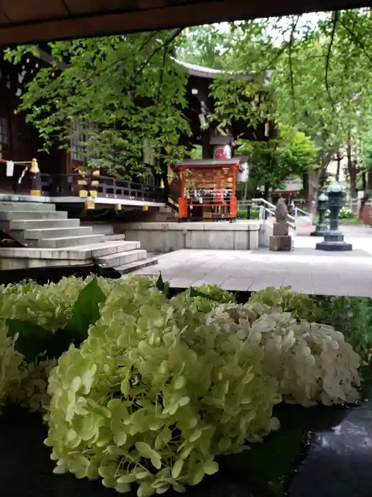 熊野神社(東京都)