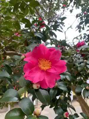 鎌数伊勢大神宮(千葉県)