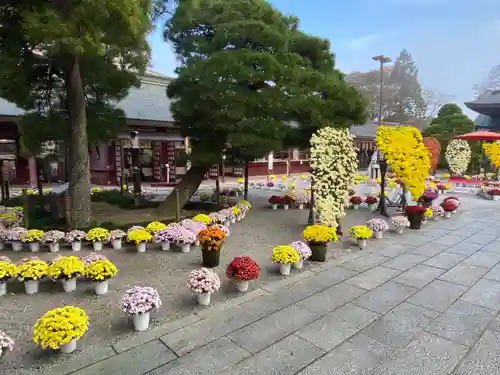 笠間稲荷神社の庭園