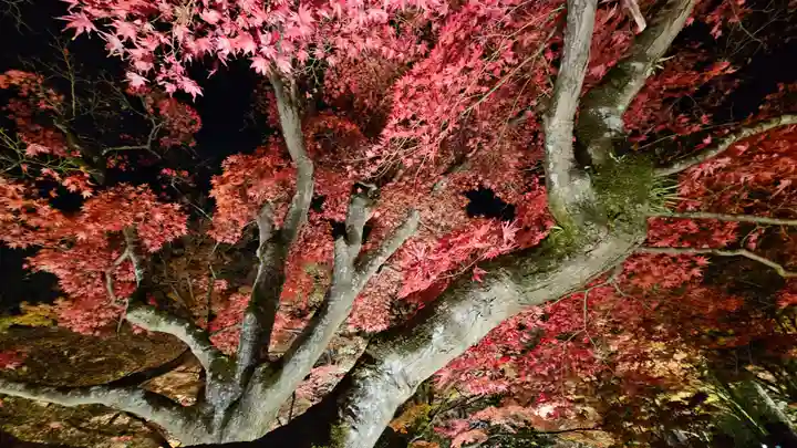 宝厳院(京都府)