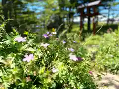 山の神神社(長野県)