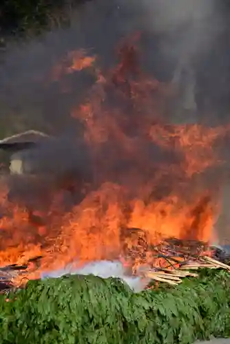 高尾山薬王院のお祭り