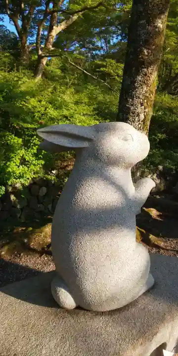 出雲大神宮の狛犬