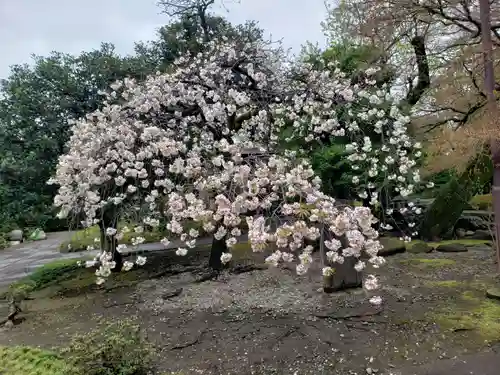 福蔵院(東京都)