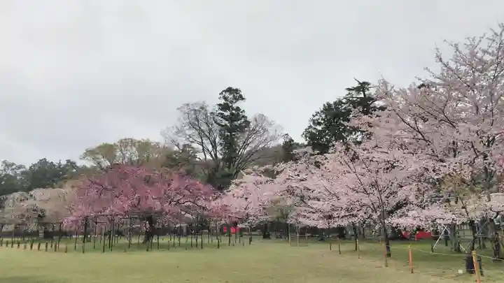 賀茂別雷神社(上賀茂神社)の庭園
