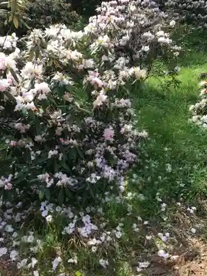 南原寺(山口県)