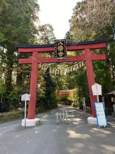 大崎八幡宮の鳥居