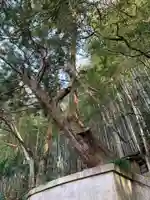 波除不動尊(千葉県)