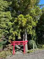 須山浅間神社(静岡県)