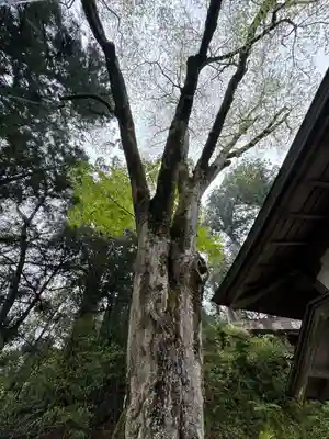 丹生川上神社（下社）(奈良県)