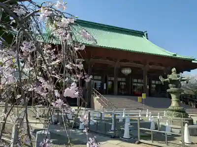 護国寺(東京都)