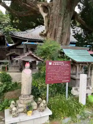大善院（観蓮寺大善院）(愛知県)