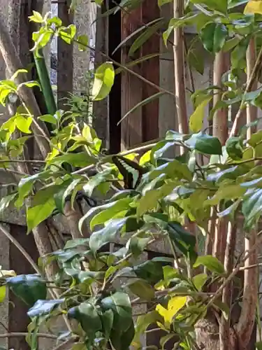 神明社(愛知県)