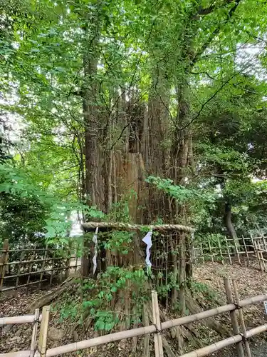 大國魂神社(東京都)