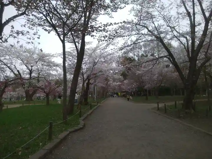 北海道神宮の初詣