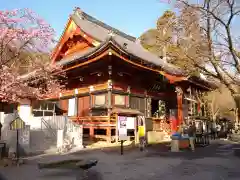 楽法寺（雨引観音）の本殿