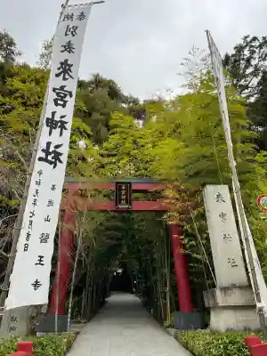 來宮神社(静岡県)