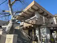 櫛笥寺(大阪府)