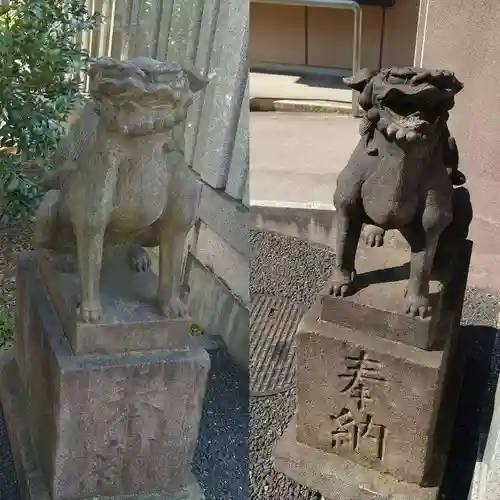 白金氷川神社の狛犬