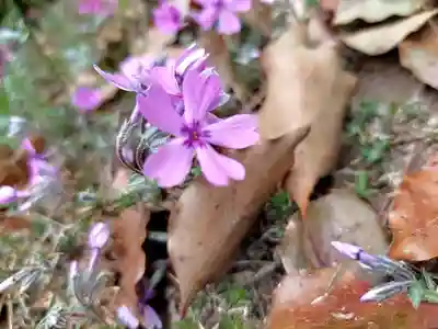 刺田比古神社(和歌山県)