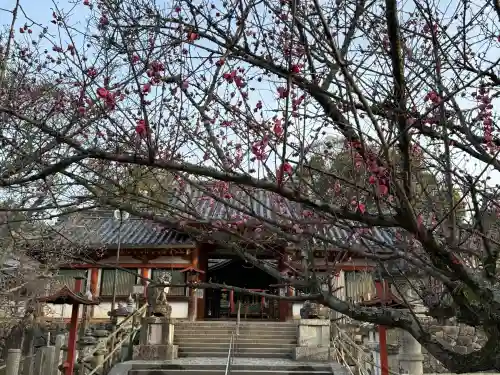 氷室神社(奈良県)
