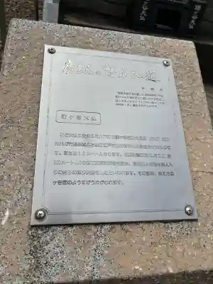 鎌ケ谷大仏(千葉県)