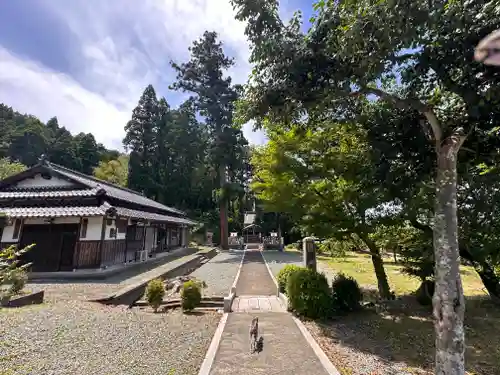 櫻神社(福井県)