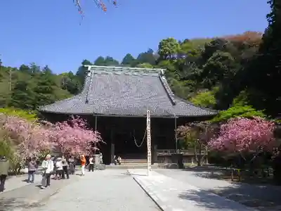 妙本寺の本殿・本堂