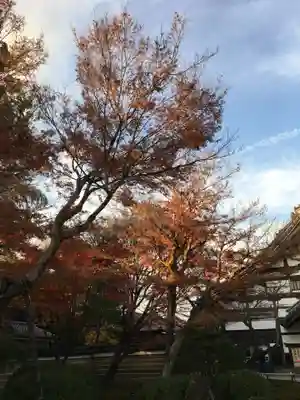 高台寺（高台寿聖禅寺・高臺寺）(京都府)