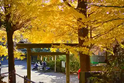 葛原岡神社(神奈川県)