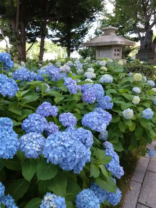 西野神社(北海道)