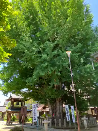 飛騨国分寺(岐阜県)