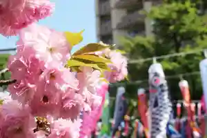 くまくま神社(導きの社 熊野町熊野神社)の自然(2021年04月07日(水) 19時43分40秒投稿)