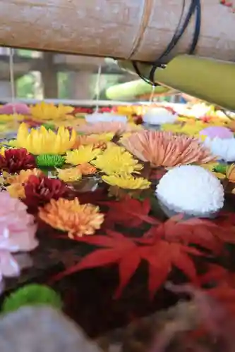 石清水八幡宮の手水舎