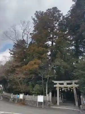 庭田神社の{uncategorized: "未分類", other: "その他", undefined: "問題あり", building: "その他建物", grave: "お墓", sacred_gate: "鳥居", guardian: "狛犬", statue: "像", buddha: "仏像", history: "歴史", nature: "自然", garden: "庭園", animal: "動物", pagoda: "塔", temizu: "手水舎", mountain_gate: "山門・神門", sanctuary: "本殿・本堂", subordinate: "末社・摂社", art: "芸術", scenery: "景色", jizo: "地蔵", ema: "絵馬", goshuin: "御朱印", omikuji: "おみくじ", items: "授与品その他", amulet: "お守り", goshuincho: "御朱印帳", eats: "食事", festival: "お祭り", votive_dance: "神楽", shichigosan: "七五三参", wedding: "結婚式", experience: "体験その他", initially: "初詣", around: "周辺", anti_infection: "感染症対策"}