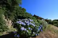 滑川不動尊の庭園