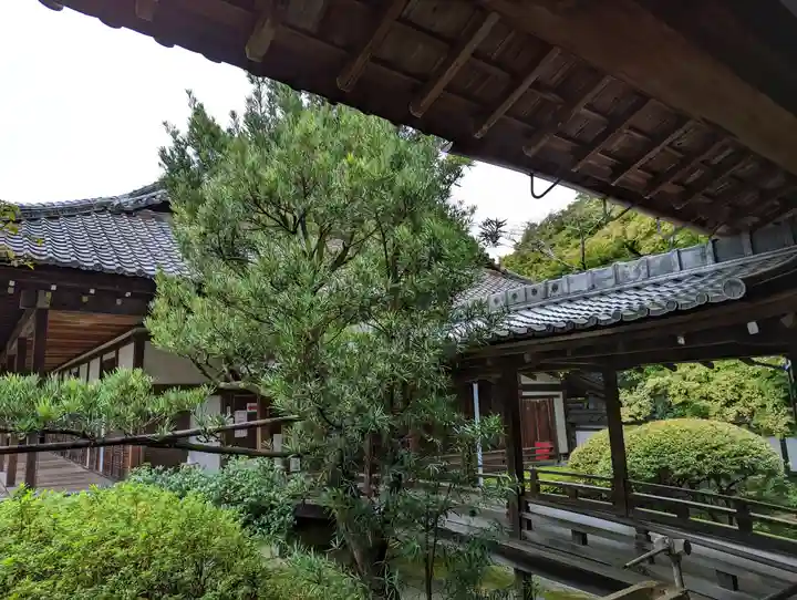 毘沙門堂門跡(京都府)