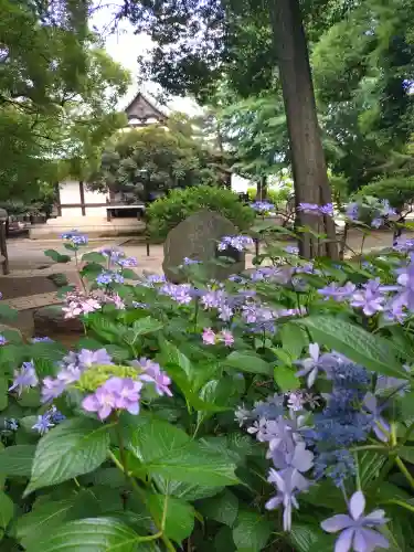 長命寺(東京都)