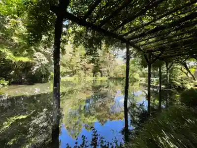 富士山本宮浅間大社(静岡県)