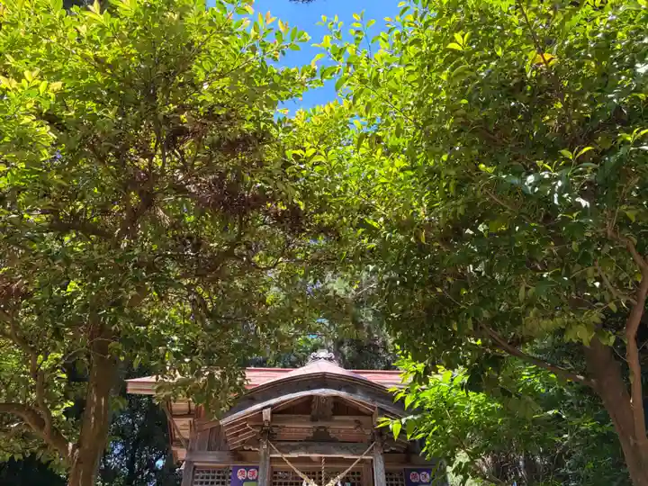 八龍神社(茨城県)