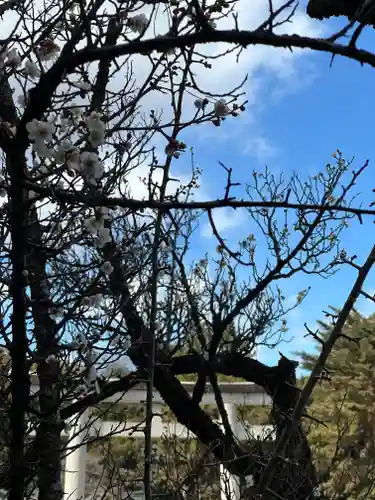 群馬県護国神社(群馬県)