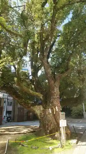 難波神社のその他建物