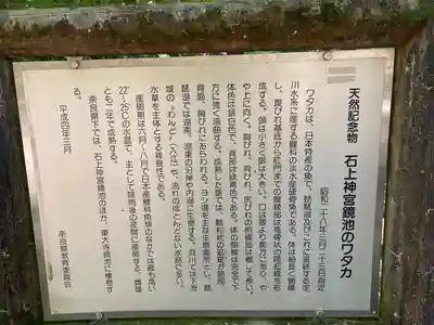 石上神宮(奈良県)