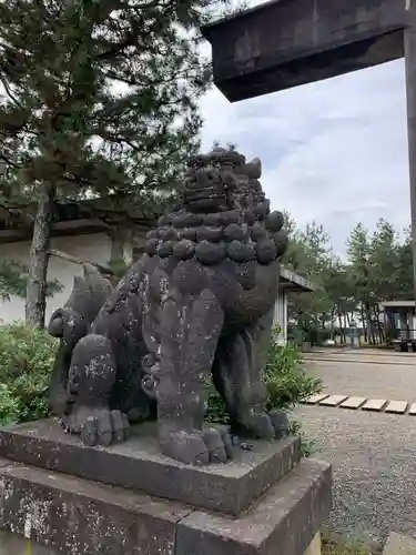 福井神社の狛犬