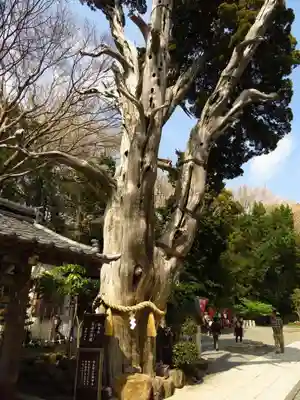 伊古奈比咩命神社のその他建物
